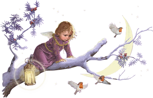 Bonne nuit  tout le monde